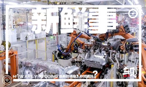 走進上汽大眾長沙工廠 車媒老鳥的圓夢之旅，探秘斯柯達泥地打樁機般完美品質(zhì)